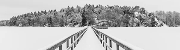 snowy path