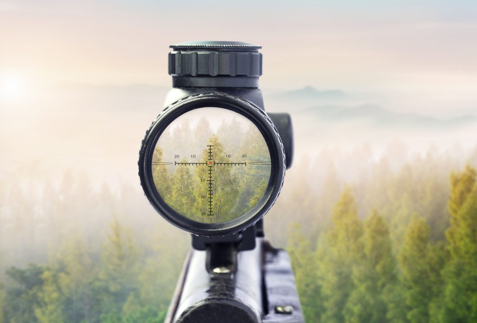 View from a rifle scope overlooking a forest