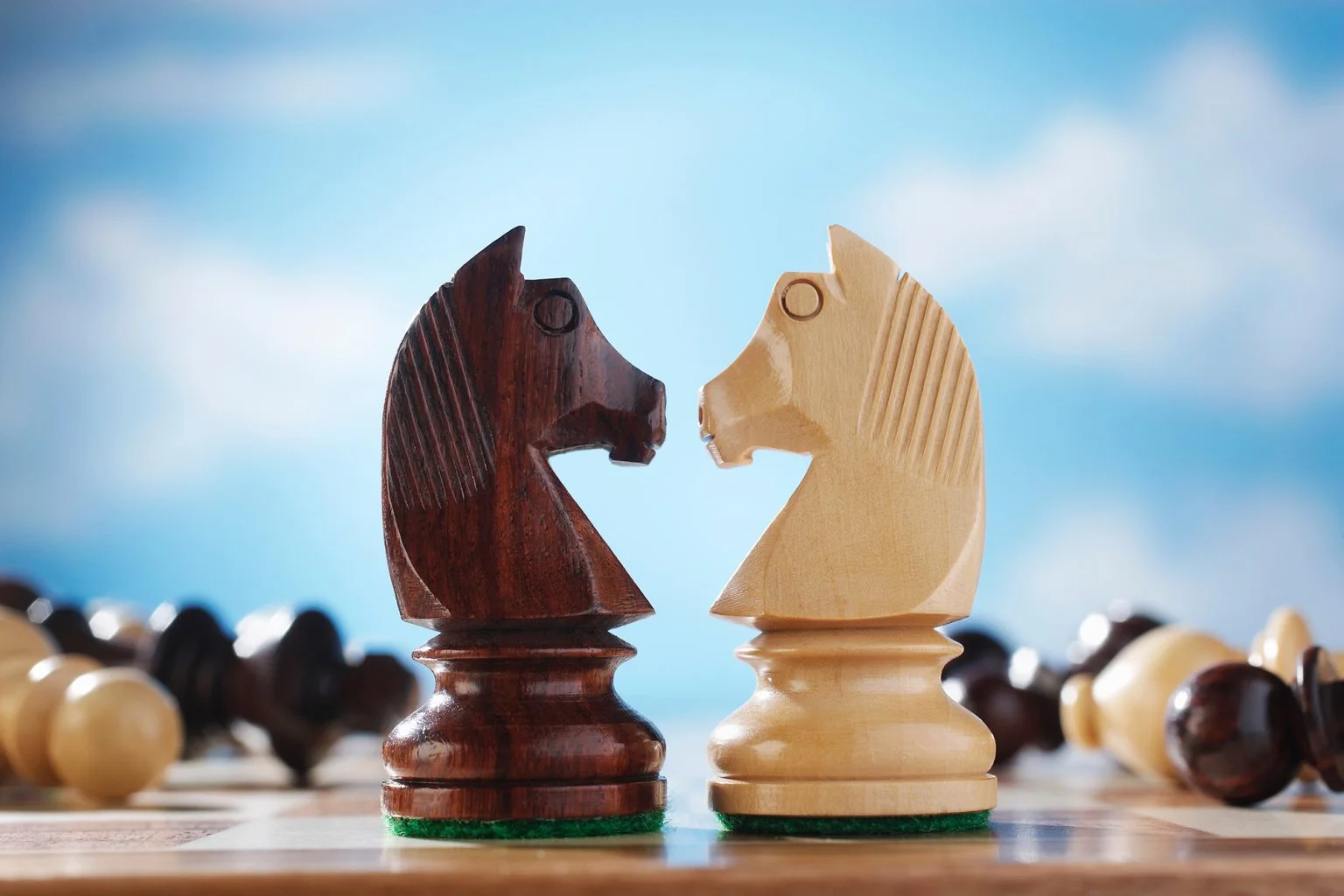 knights facing each other