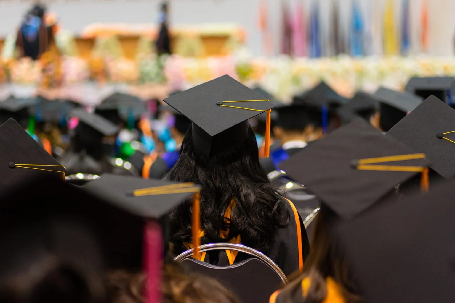 Rear view and soft selective focus of the graduates in the graduation commencement ceremony