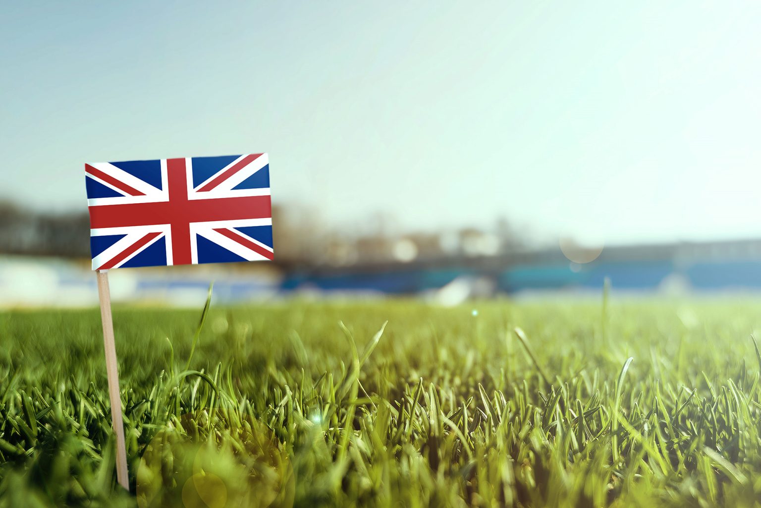Miniature stick United Kingdom flag on green grass, close up sunny field