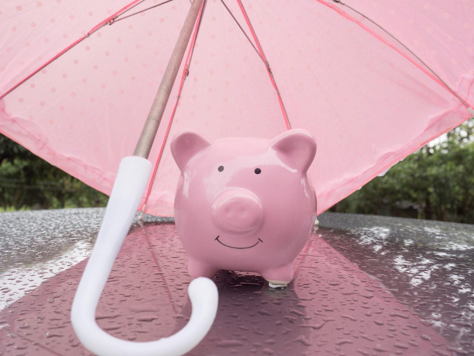 Piggy bank under an umbrella on a rainy day
