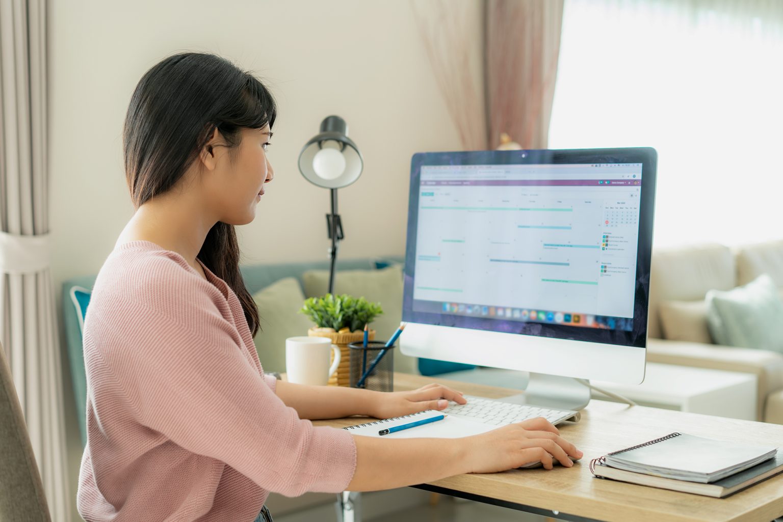 Young businesswoman working at a computer at home