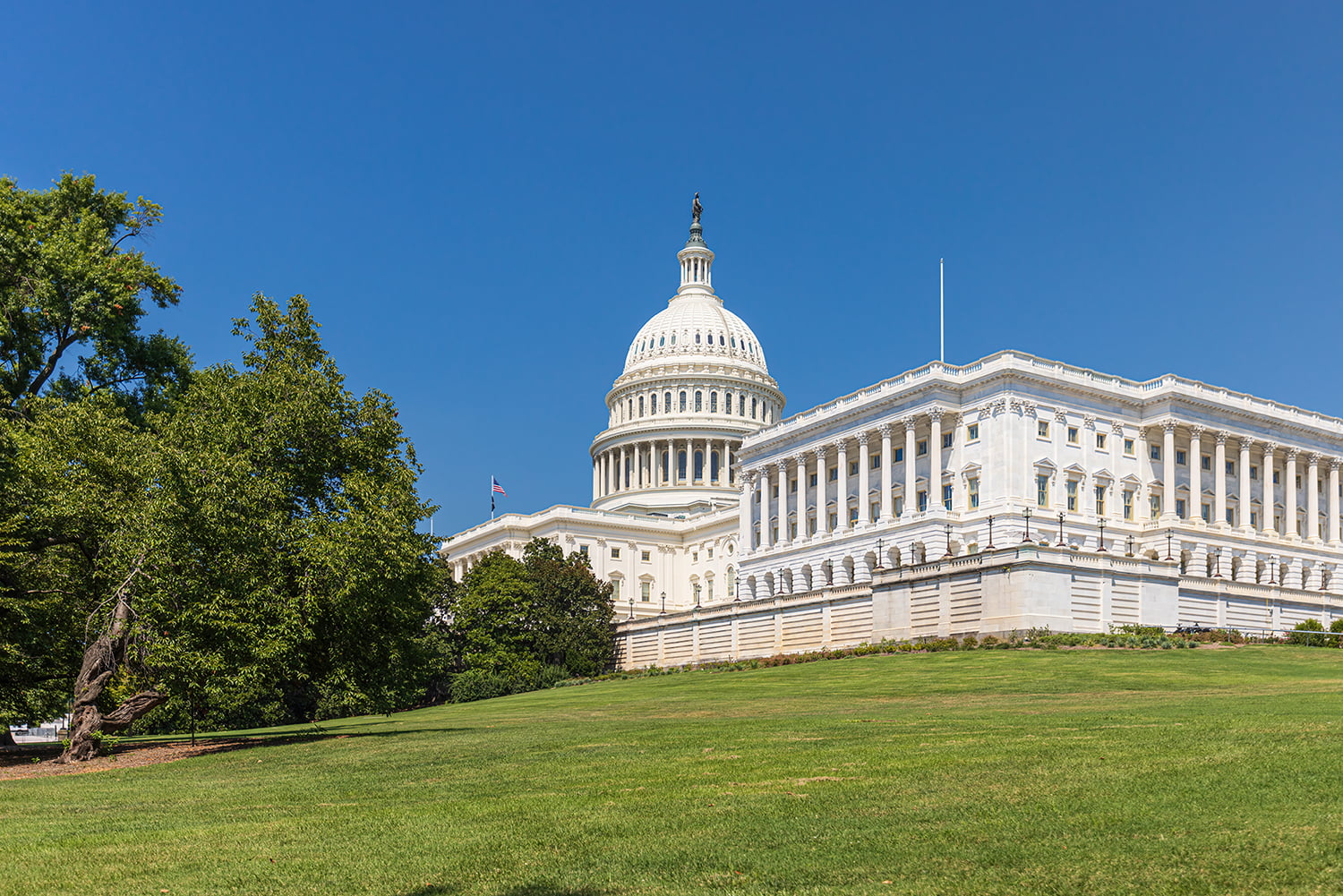 The capitol building in Washington DC