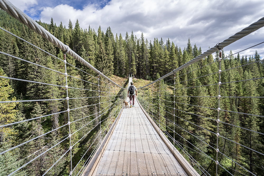 Man hiking with his dog crossing long suspension bridge in the woods of Canadian Rockies
