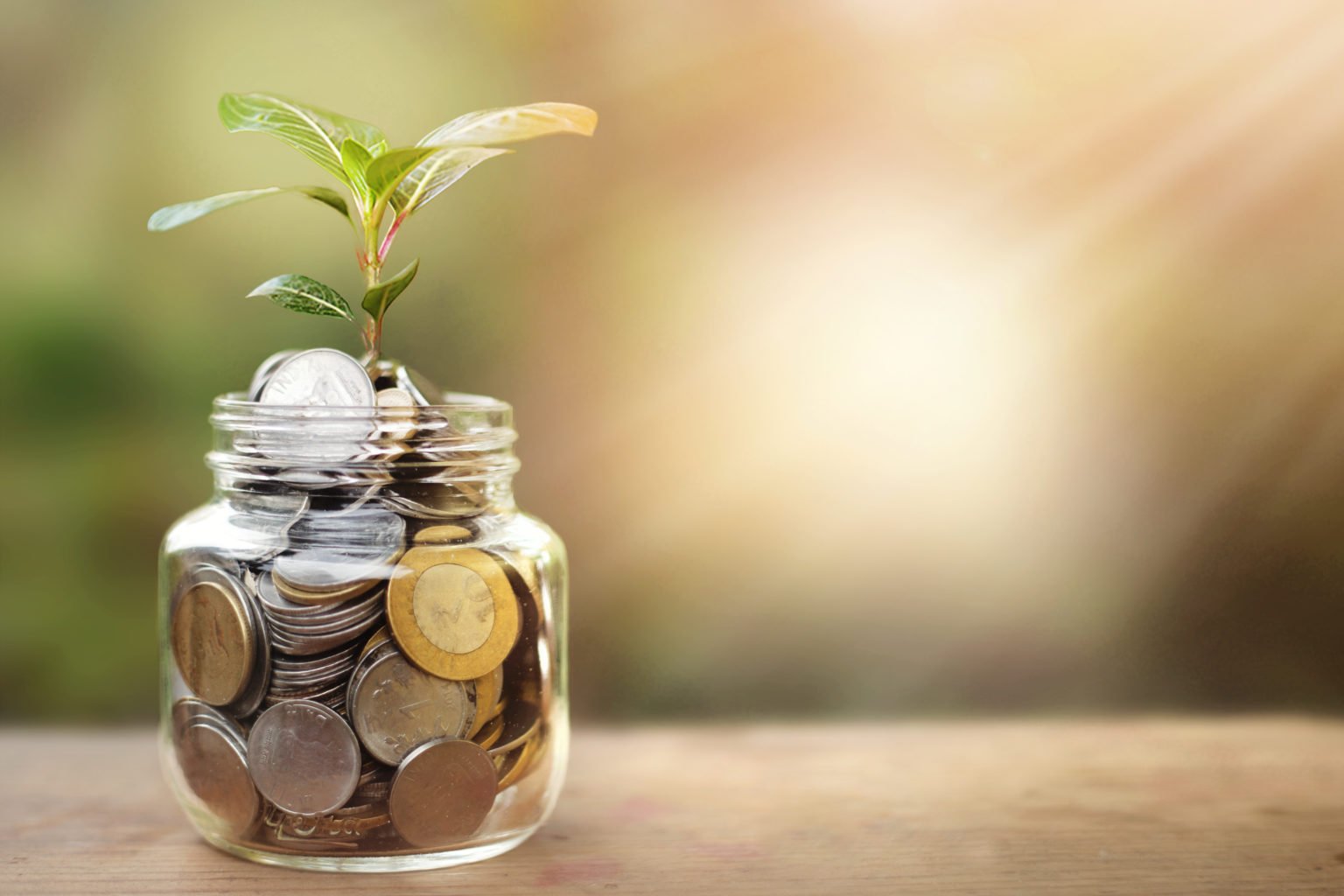 A glass jar full of coins and plant growing through it with some coins and plant leaves.