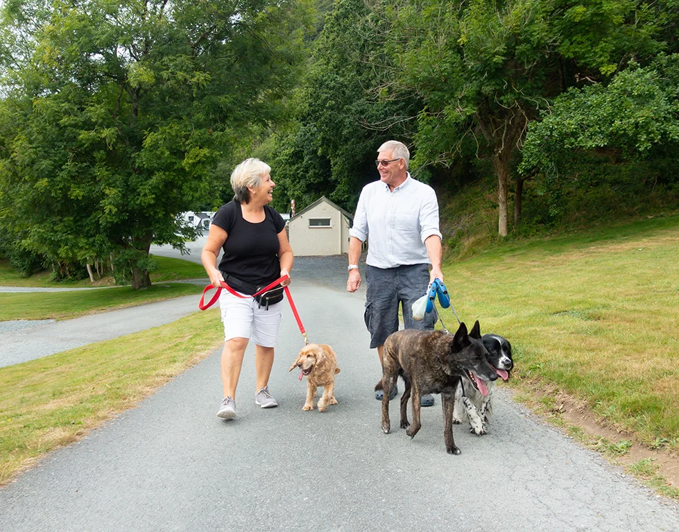 Middle aged couple walk their dogs