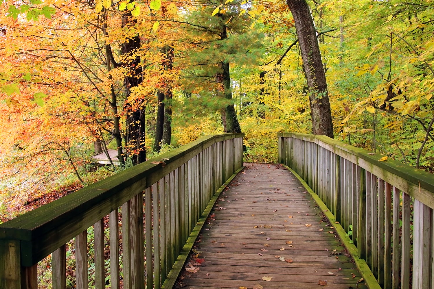 Scenic landscape with wooden boardwalk and hiking trail through colorful trees along lake