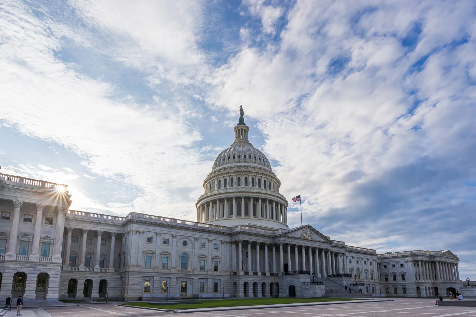 The US Capitol in Washington DC