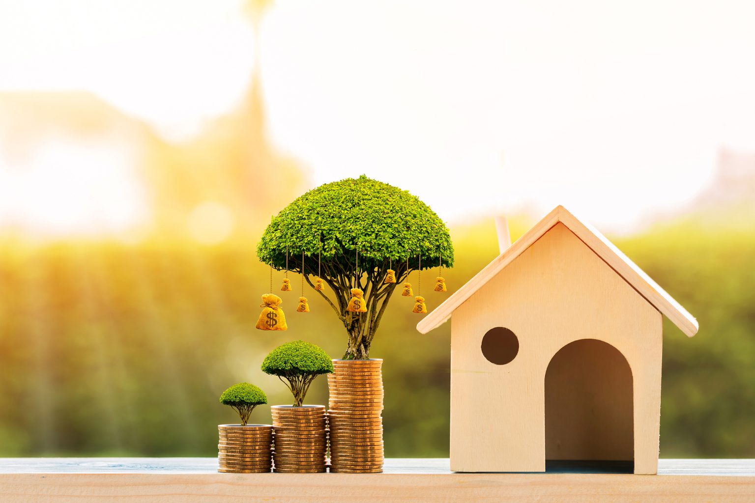 House model and stack coin and money bag of tree in the morning sunlight