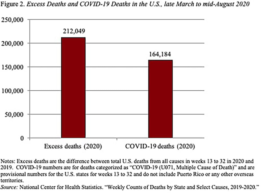 Bar graph showing excess deaths and COVID-19 deaths in the U.S., late March to mid-August 2020