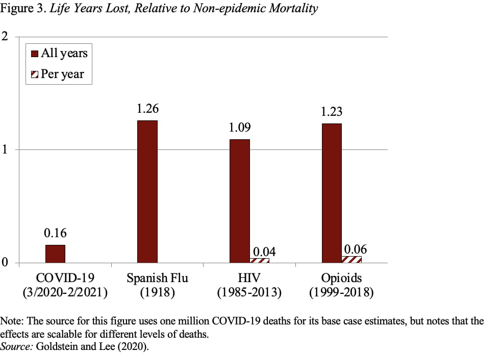 Bar graph showing life years lost, relative to non-epidemic mortality