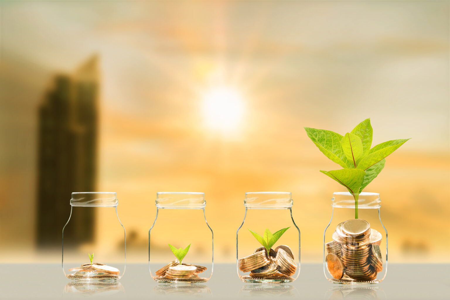 Coins in the growing sized bottles and plant growing with savings money on photo blur cityscape on sunlight background