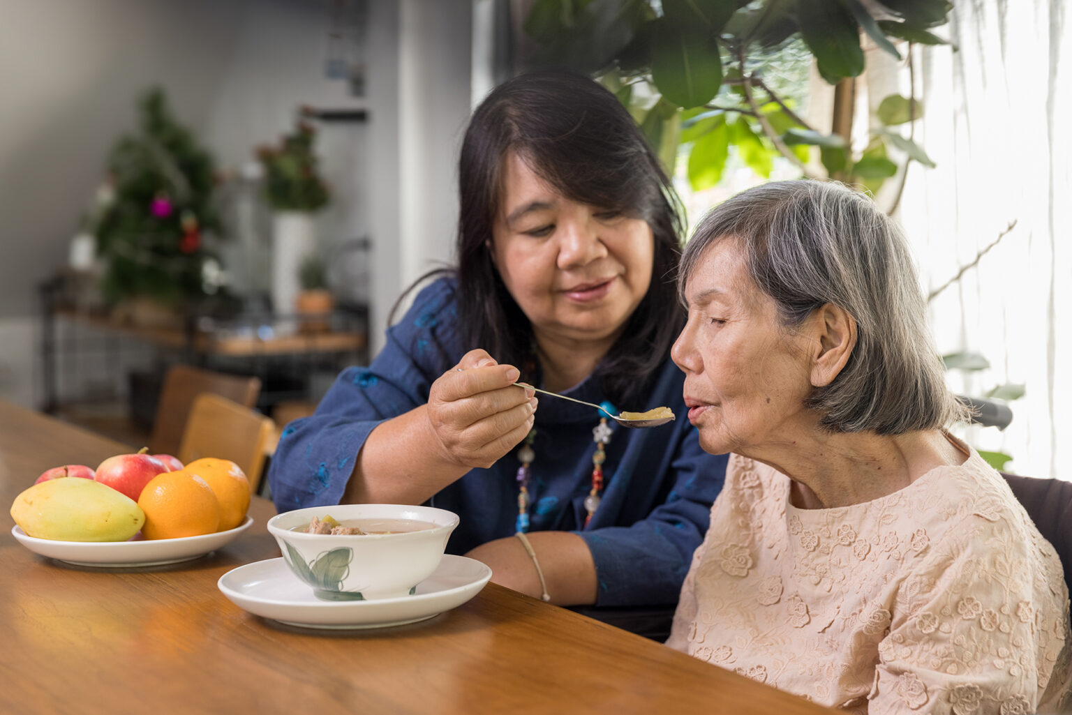 Daughter feeding elderly mother with soup