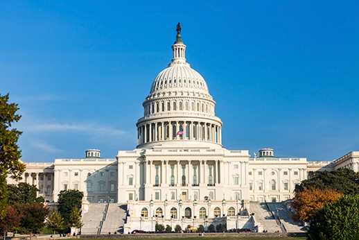 Photo of the US capitol