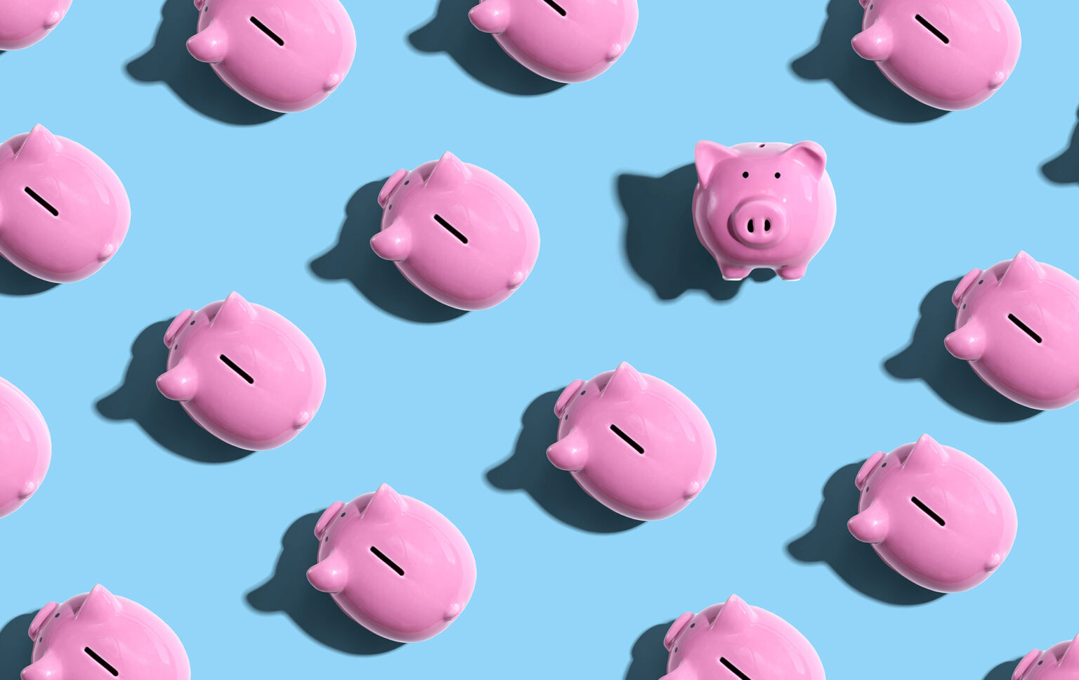 Pink piggy banks overhead view