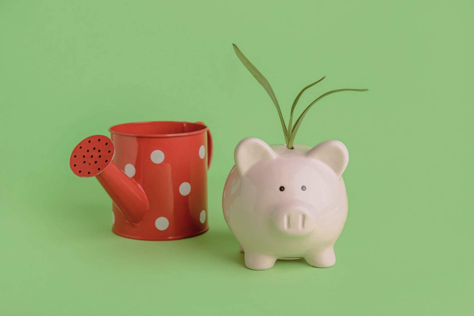 Plant growing from piggy bank and watering can