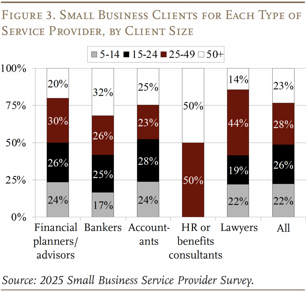 Bar graph showing Small Business Clients for Each Type of Service Provider, by Client Size