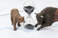 hourglass or sandglass on chart and graph, price list report paper surround by bear and bull figure